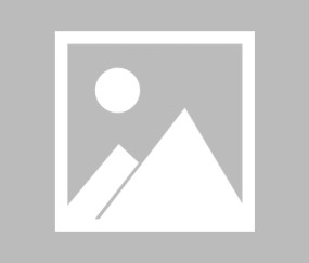 乐鱼vip-国足明年1月要去埼玉?看看这座世界杯球场的周末